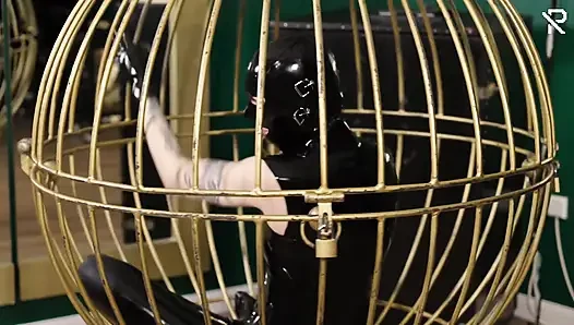 Masturbation in a Golden Bird Cage