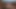 Animated 3d cartoon porn video - Threesome sex between two cute girls and a man