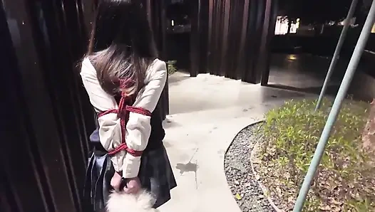 Hs19-a Girl in a School Uniform Was Bound Wander the Streets