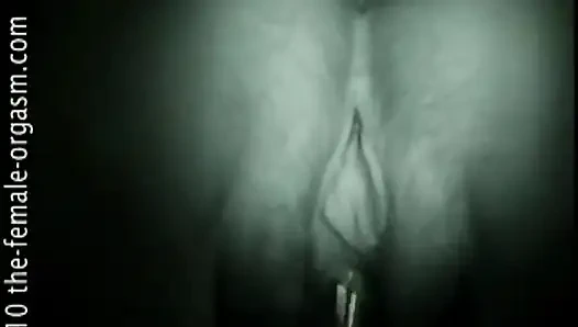 T Kelebek Altları Yukarı