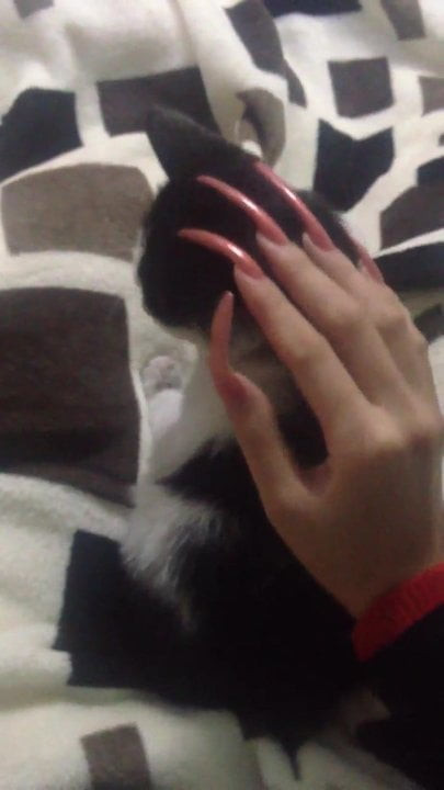 long nails