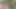 Pal's kardeşler para için sikiş ve porno seks eşcinseller jake