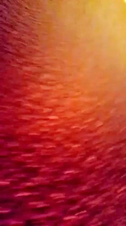 ts fuck my ass.une trans qui me baise