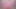 Pretty in Pink - Mandi Mount