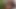 BLONDE AND BRUNETTE DANCING MASTURBATING UNTIL I LIKE IT