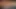 My Black Step Daughter Msnovember Ass Cumshot in Prone Sex