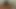 Hot view from above at four shemale girlfriends wild fucking