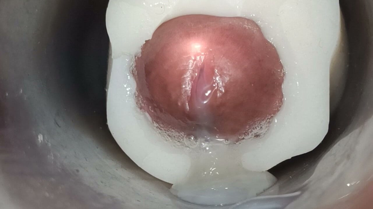 Internal view: vulva twitching and ejaculation 1