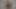 Palm porn video – Eat your cum from my palm CEI