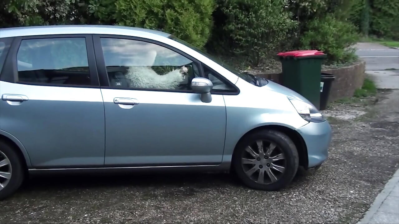 während des besuchs wurde meine muschi nass, sieh dir sie an ....