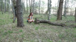 Pratinjau video