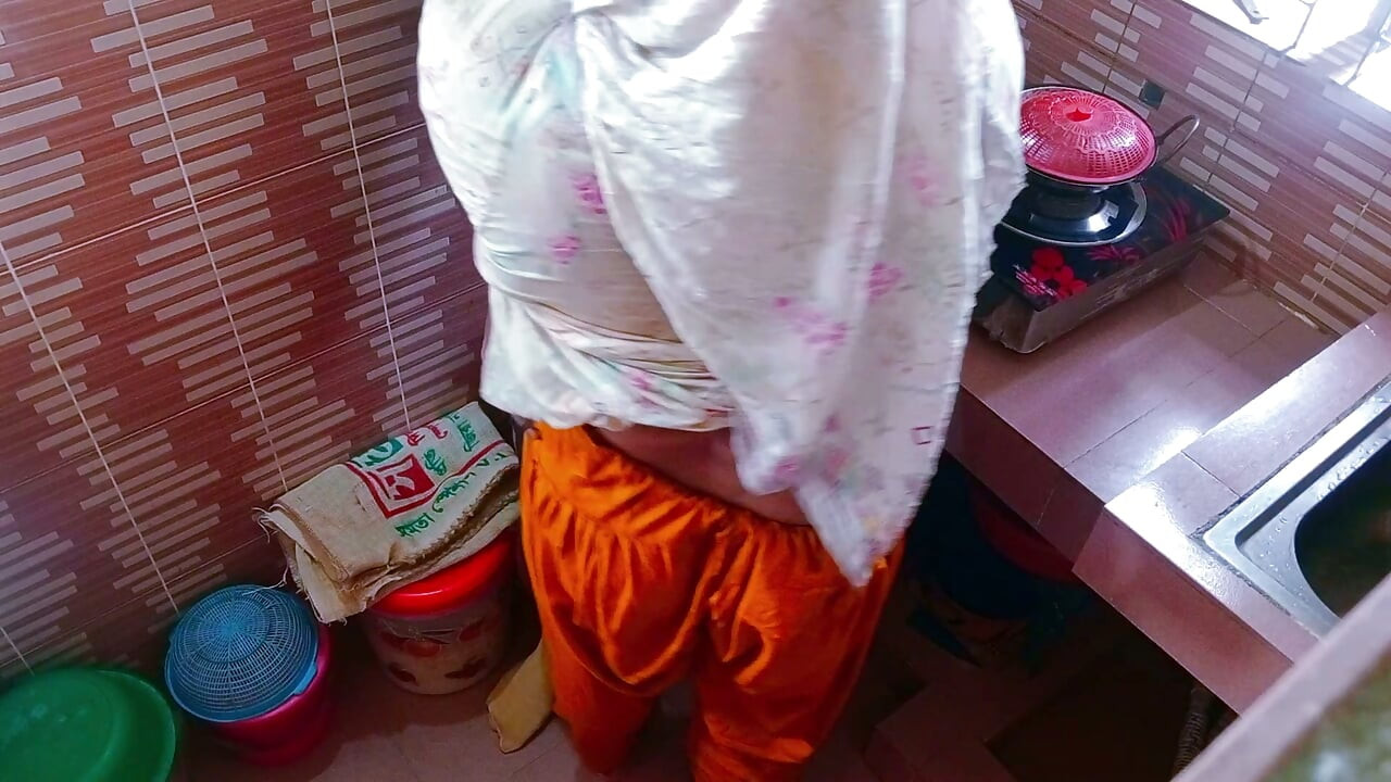 A beautiful desi aunty has a hot sex with a young man
