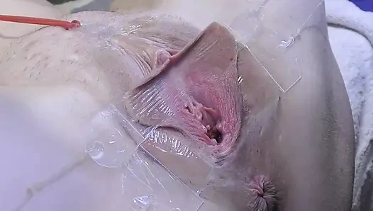 3 Menjilati Vagina Menyebar Jauh Dari Sangat Dekat