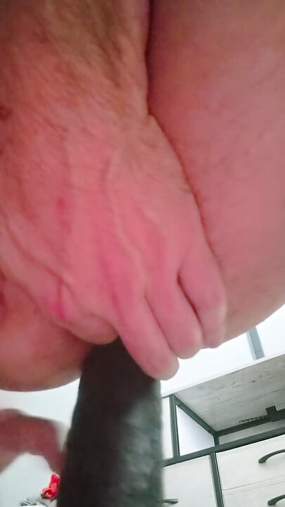 新しいおもちゃを試してみます!