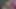 Prošli tjedan ukrao je dildo iz porno trgovine