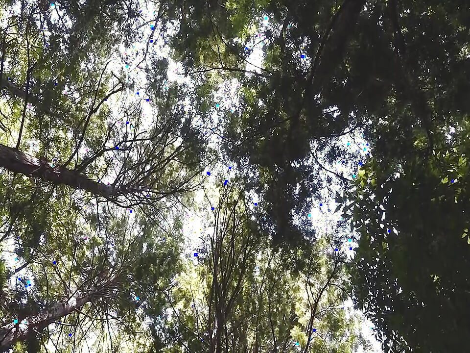 A123G10 Picking up a mature woman found in a dense forest! Even a rural lady who seems serious at first glance loves sex, being stripped naked and climaxing repeatedly with another man's.