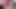 Extreme Closeup Pulsating Huge Clitoris FULL VIDEO