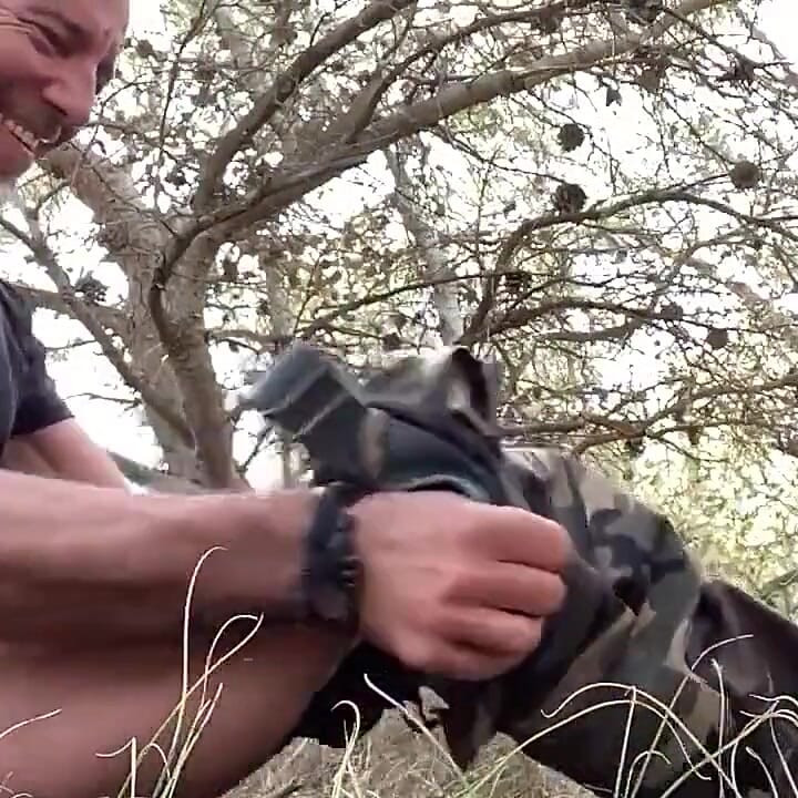 מציצה ביער על החוף