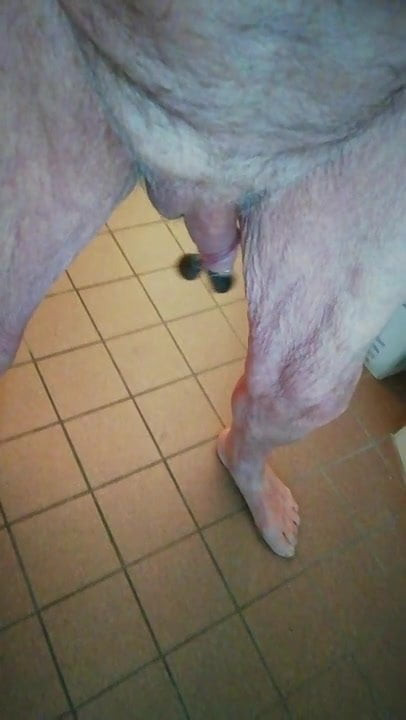 Cock playing 2
