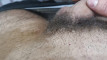 Pratinjau video