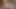 My sexy MILF wife and I try to Cam, we just end up with me licking her pussy then we fuck till I cum on her sexy belly
