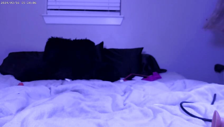 Late Night Anal Play