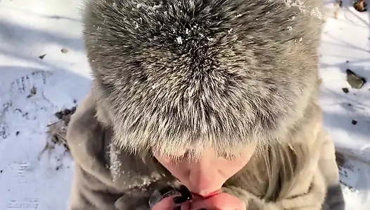 Vilu vidish lutscht schwanz im Winterwald