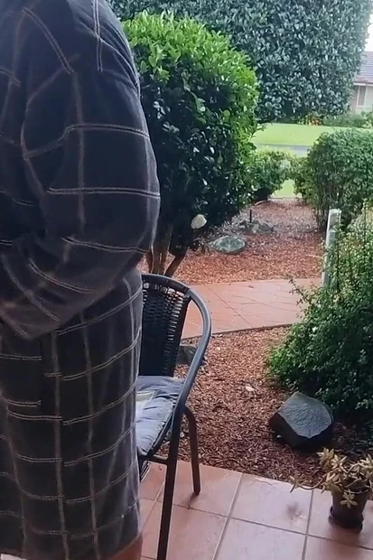 Daddy Outdoor