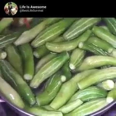 Rab1