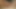 ためらいはない。彼女はただ続けていた