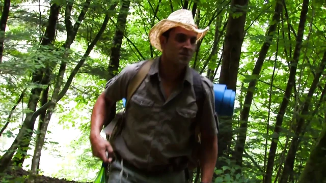 Gefesselte Bitch in der Wildnis gefickt