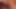 Güzel Avrupa milf masturbates ona kedi
