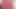 Alll pembe.. Pembe başka ne? Görüyor musun?