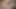 Fresh amateur Asian ladyboy teen Patty POV blowjob and tight ass fucked