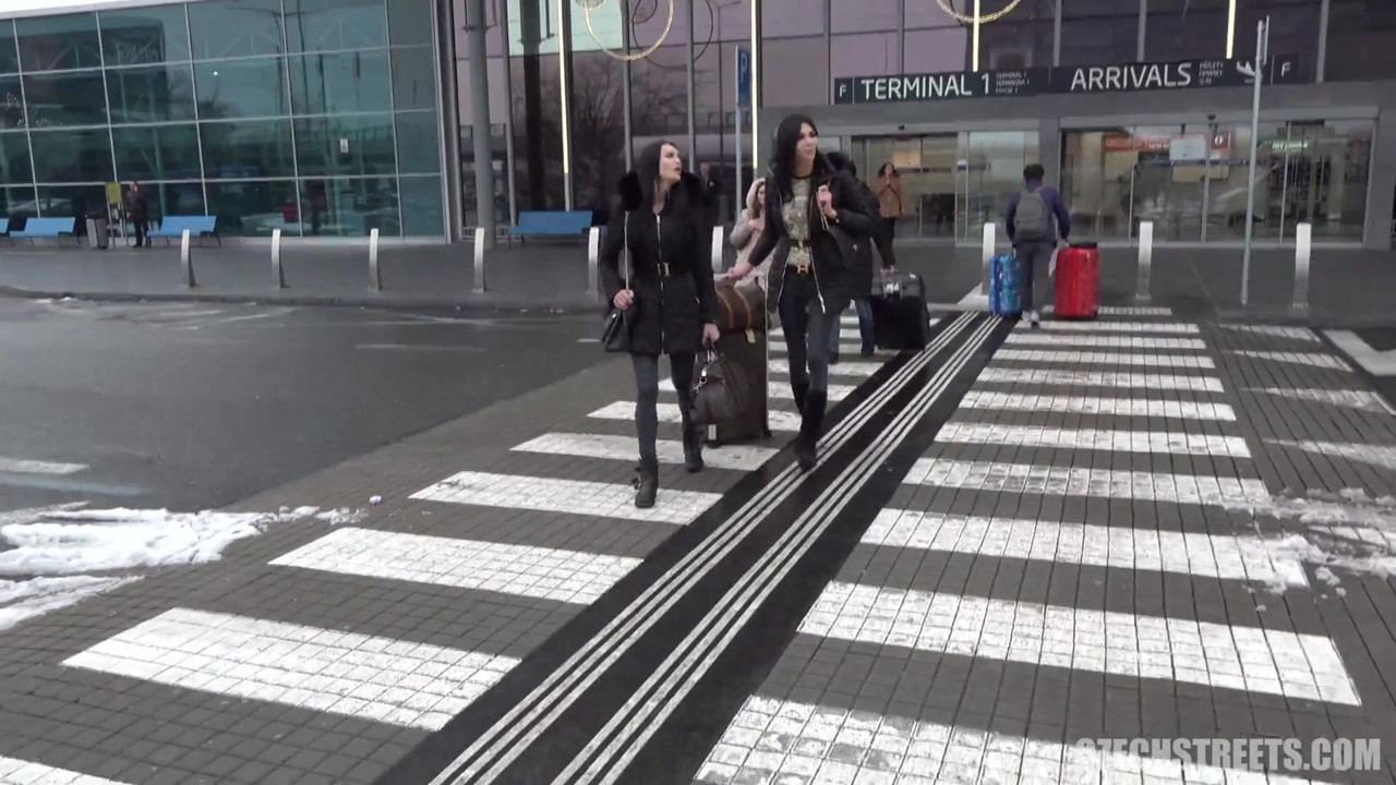 チェコの街 - ディックスとひよこ