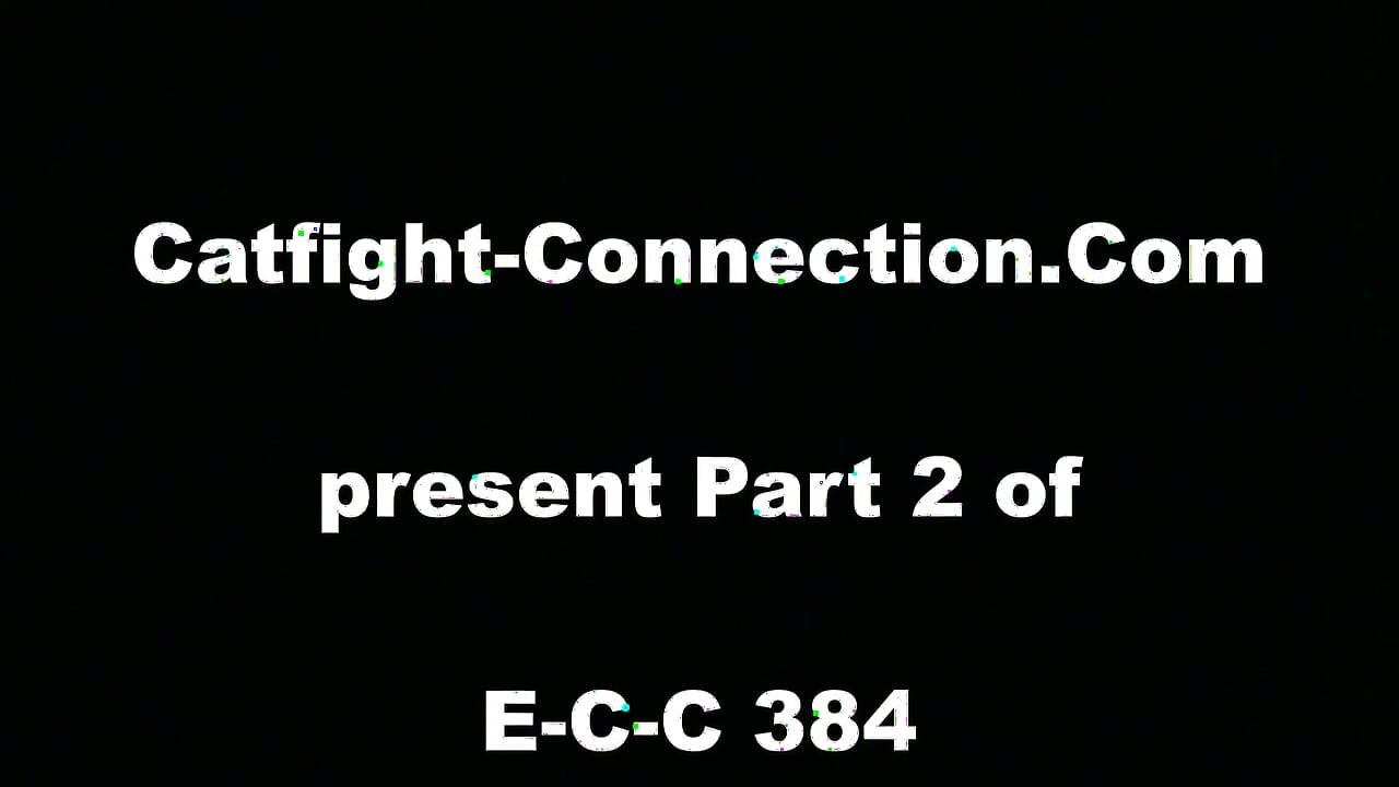 E-c-c 384 Pertempuran Para Pelacur Berdarah