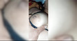 Pregled videozapisa