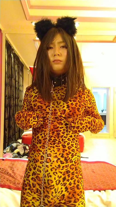 Japanese cd change leopard from black cat | Clip 2