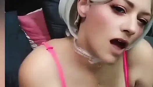 Kawaii Kitty получает сливки