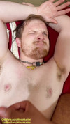 Pregled videozapisa