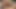 After finishing my homework I want to suck my stepbrother's cock