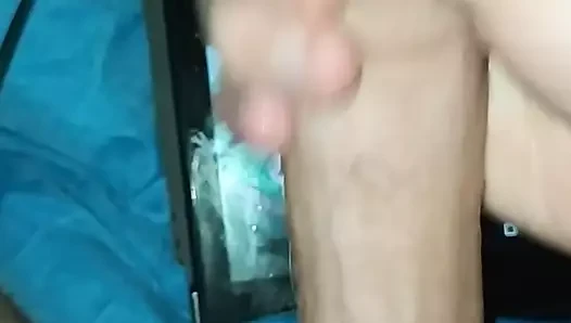 Asyalı döl haraç