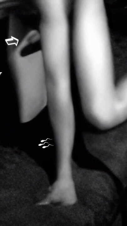 Iconic moment from "Hump Masturbation black and white with the first real Webcam in 1996"