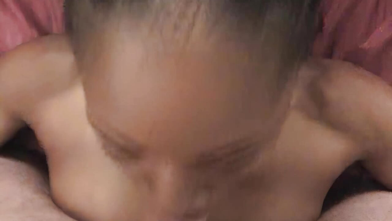 Preta puta disposta procurando pau