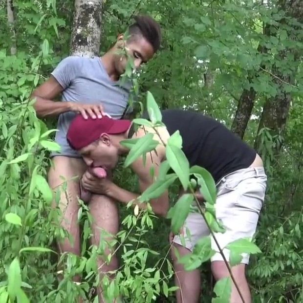 フアンペレスは、トップ黒檀で巡航展示林で生を使用