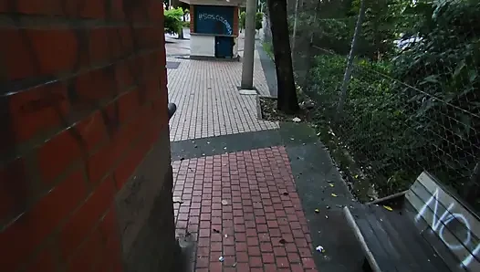 Colombian Woman Has Sex in Public with a Tourist