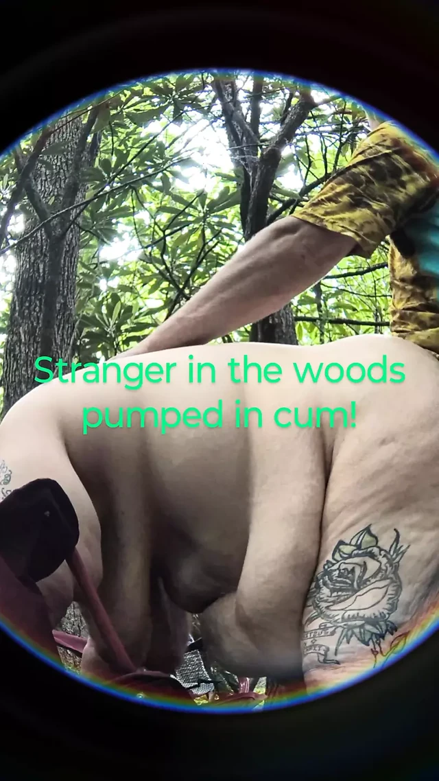 Bended This Stranger Over in the Woods Tree Covered