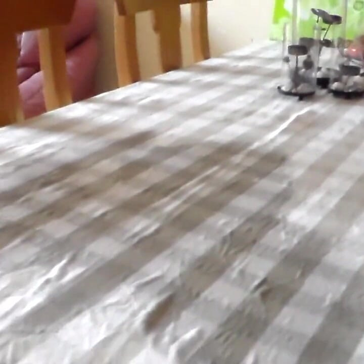 ジョンがテーブルとテーブルクロスにおしっこをしている