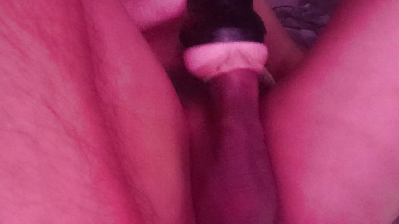 Warm My Milk Day 1645