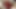 Very Chunky Black Babes Have Lesbian Sex with Their Lovely Dildo Sex Toy